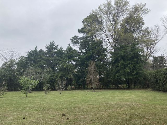 place photo 25