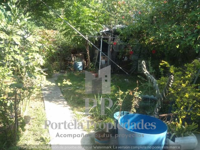 place photo 25
