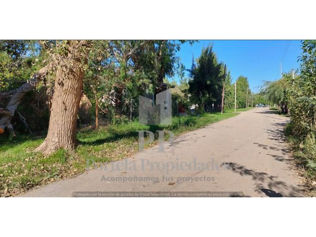 place photo 30