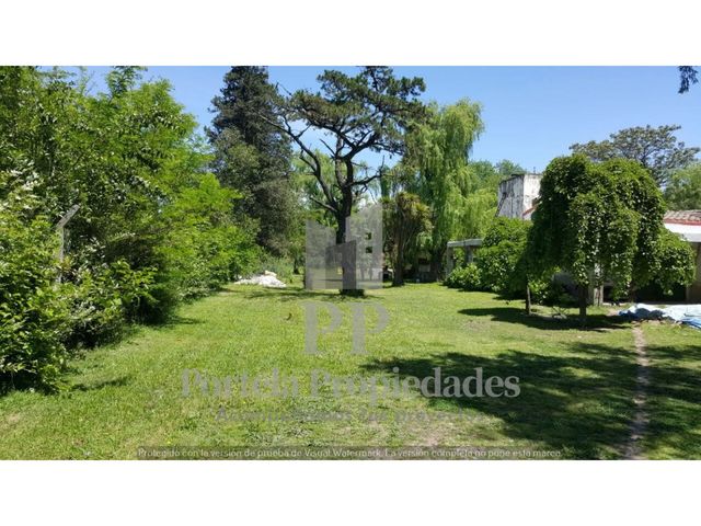 place photo 20
