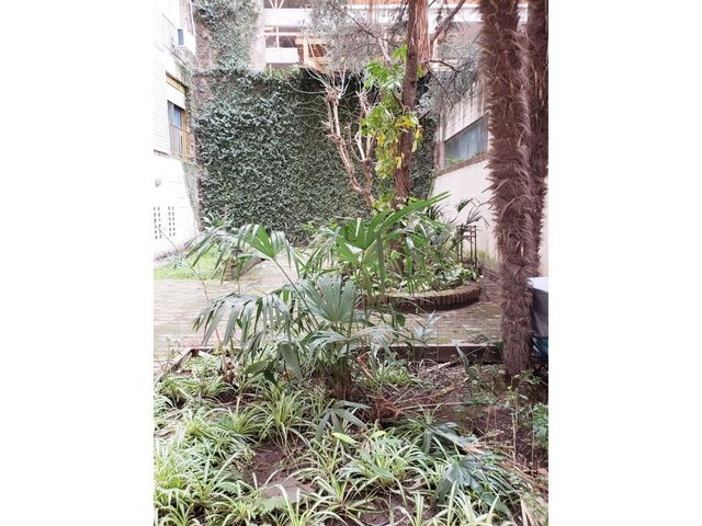 place photo 34