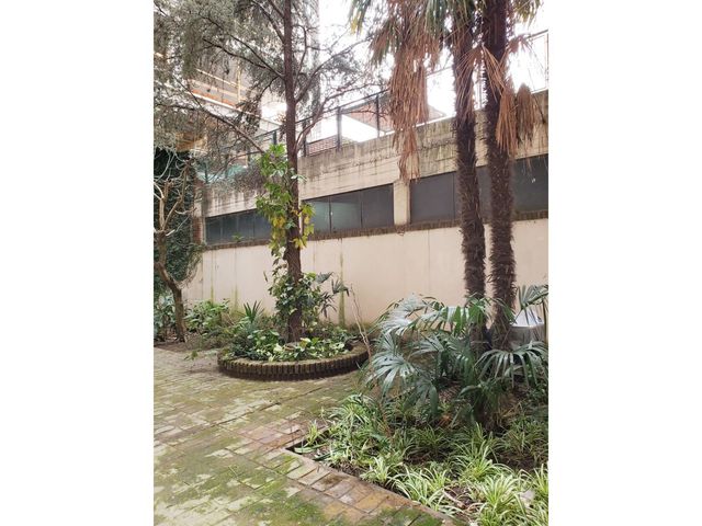 place photo 30