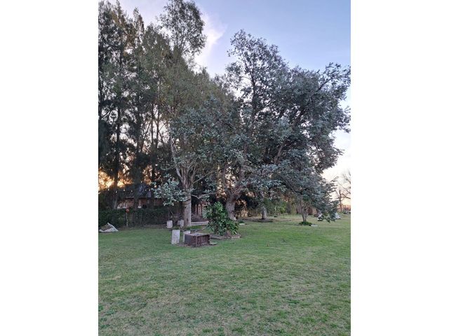 place photo 75