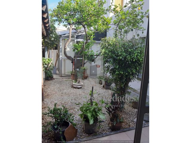 place photo 41