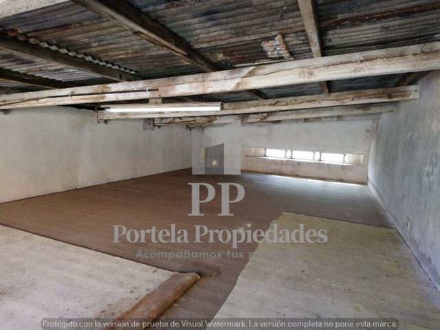 place photo 29