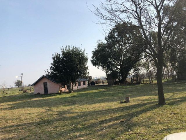 place photo 7