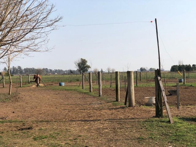 place photo 12