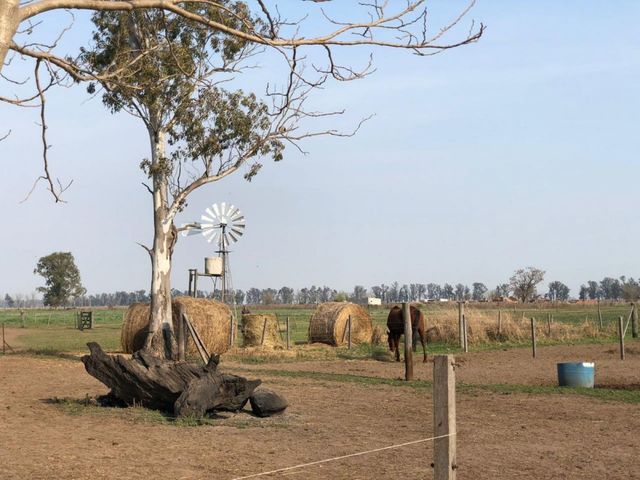 place photo 16