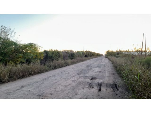place photo 13