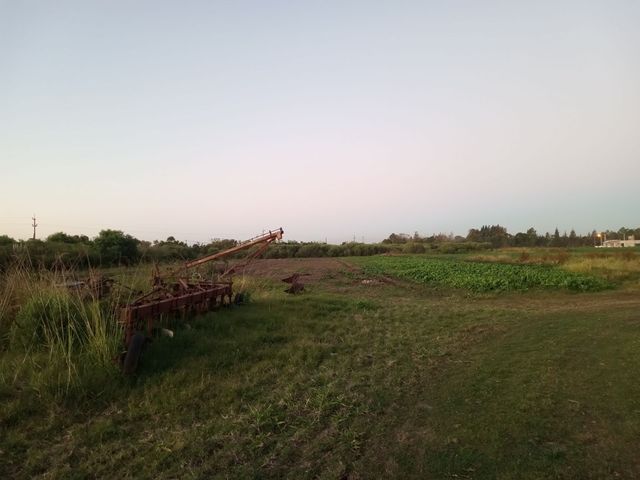 place photo 20