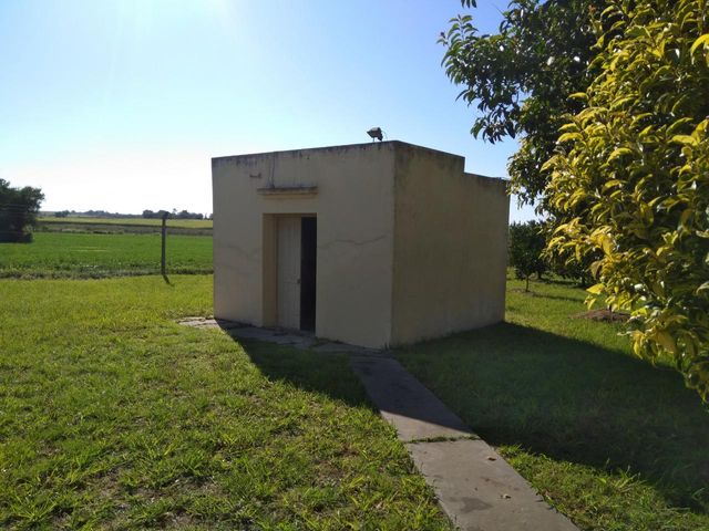 place photo 26