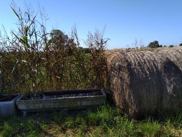 place photo 31