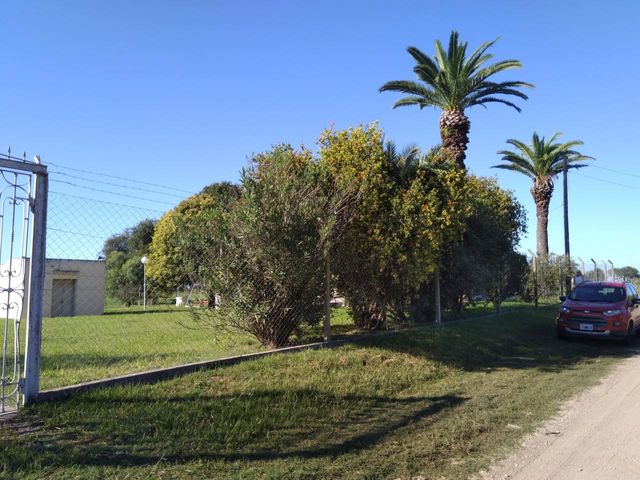 place photo 29