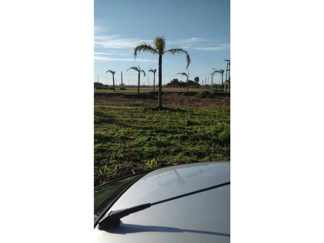 place photo 12