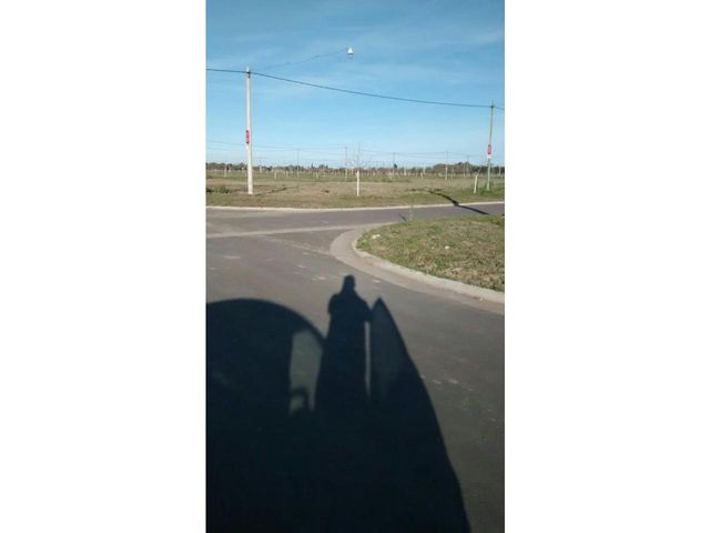 place photo 15