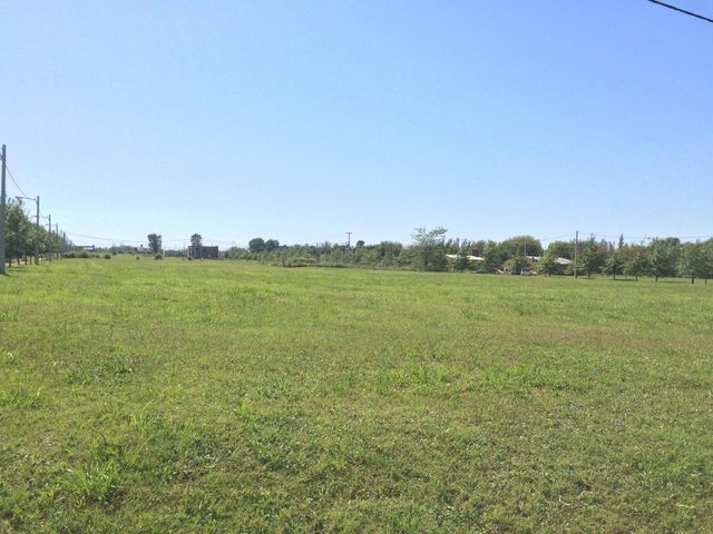 place photo 23