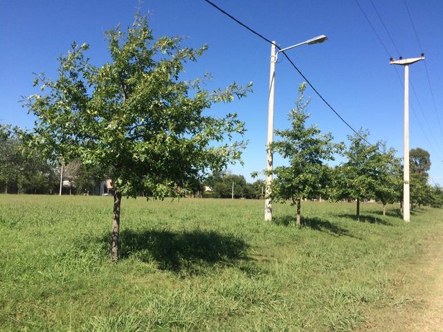 place photo 20