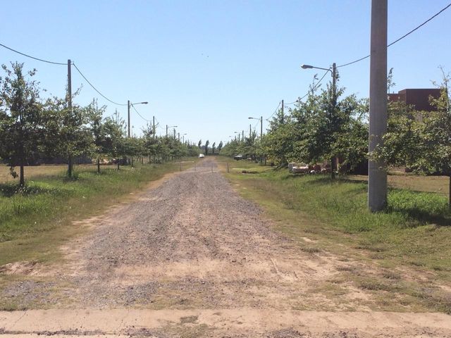 place photo 17