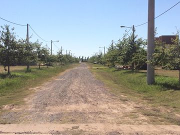 place photo 17