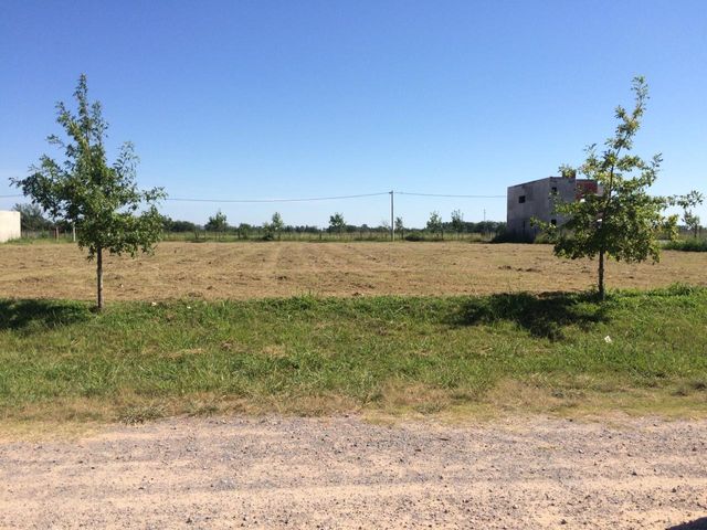 place photo 18
