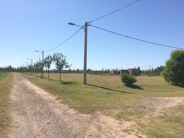 place photo 24