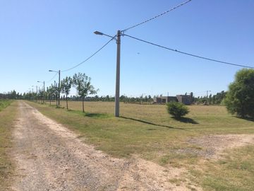 place photo 24