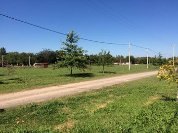 place photo 13
