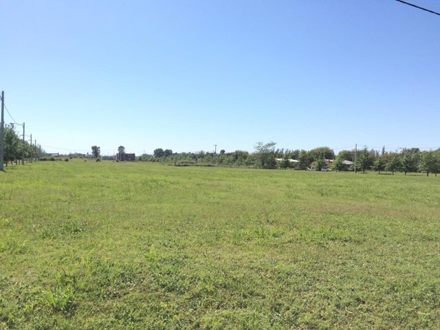 place photo 21