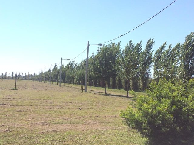 place photo 11