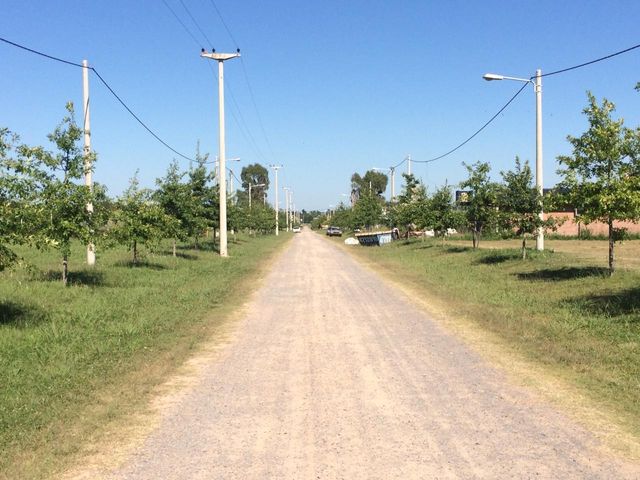 place photo 6