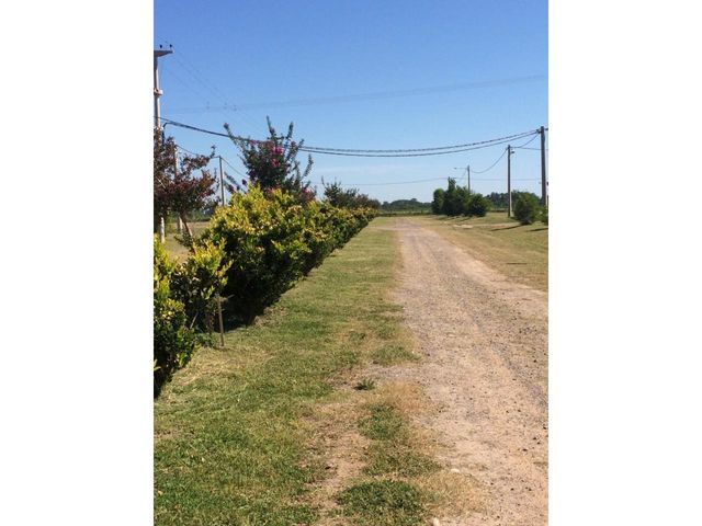 place photo 16