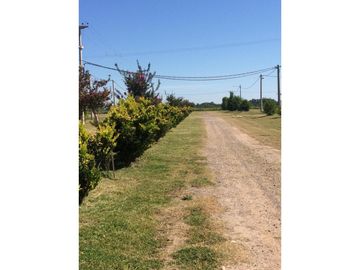 place photo 16