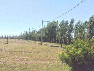 place photo 9