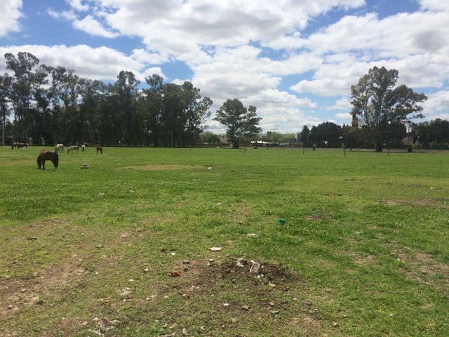 place photo 24