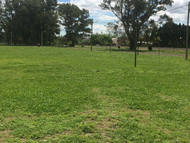 place photo 14