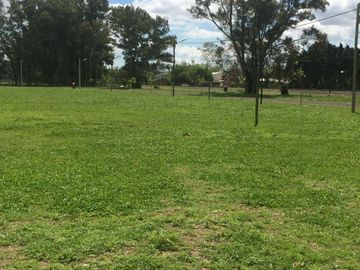 place photo 14