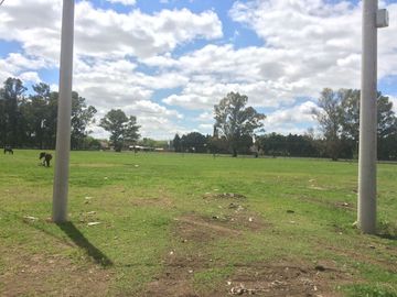 place photo 25