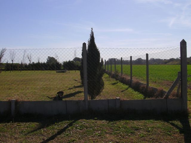 place photo 58