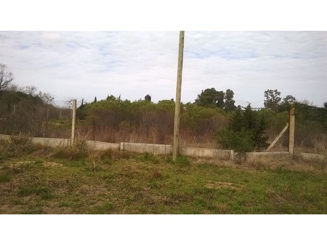place photo 41