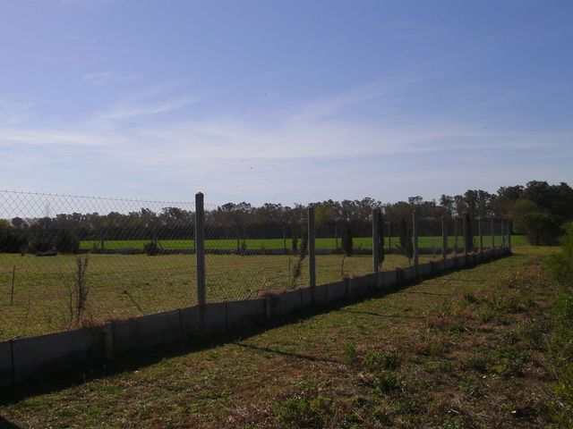 place photo 60