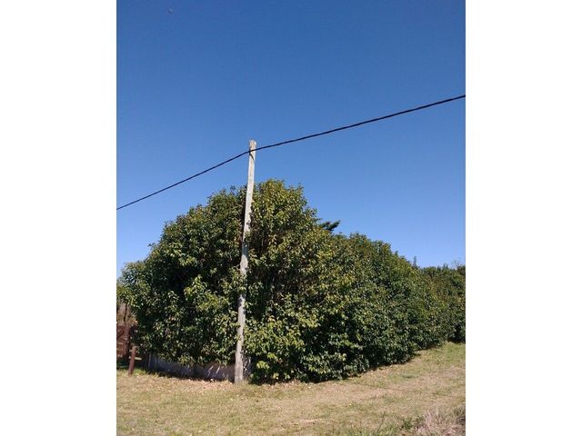 place photo 82