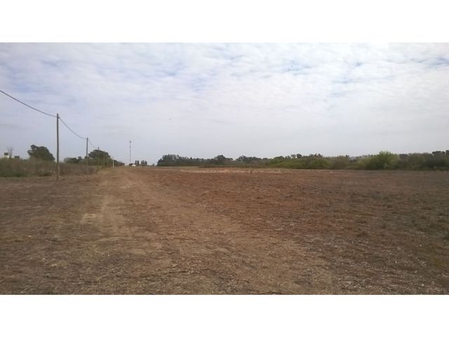 place photo 66