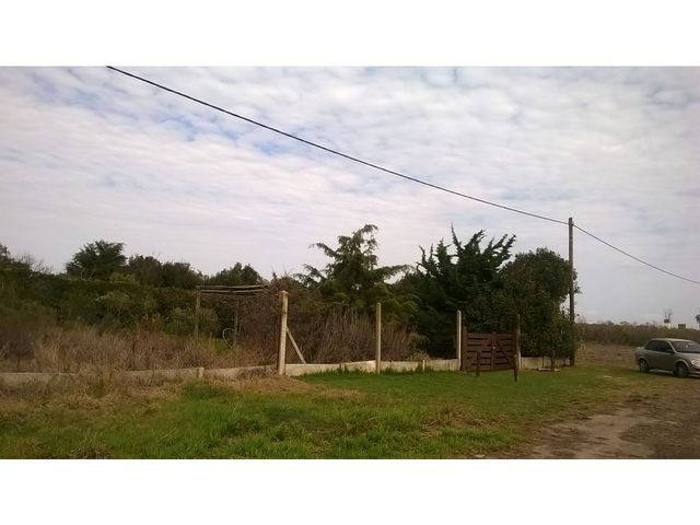 place photo 37