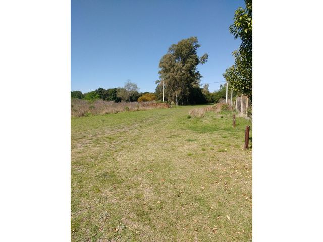 place photo 83