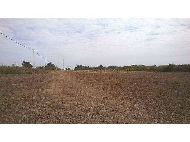 place photo 65