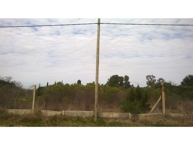 place photo 38