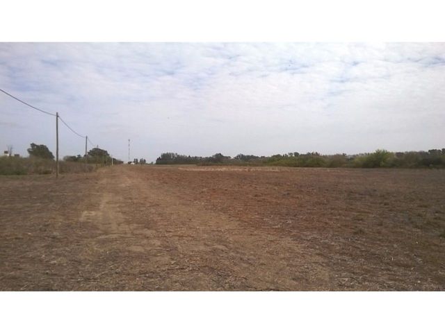 place photo 71