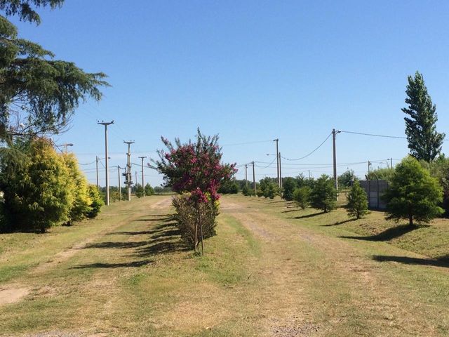 place photo 15