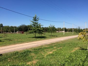 place photo 23