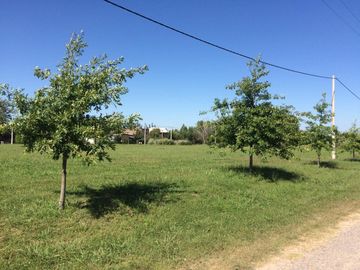 place photo 24